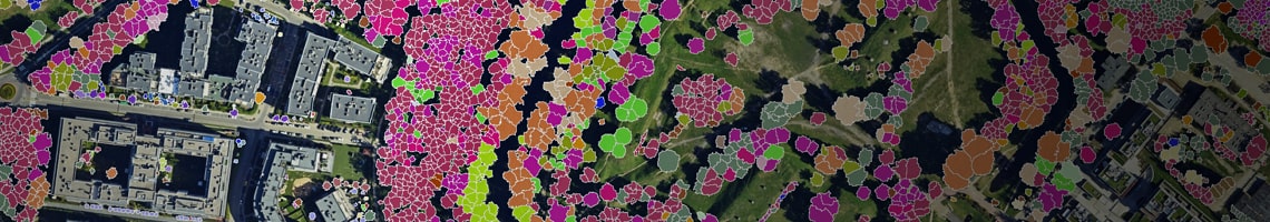 mapa drzew