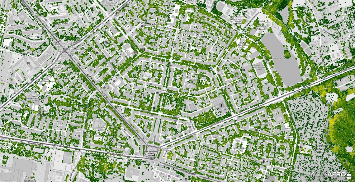 orthophoto vs true ortho