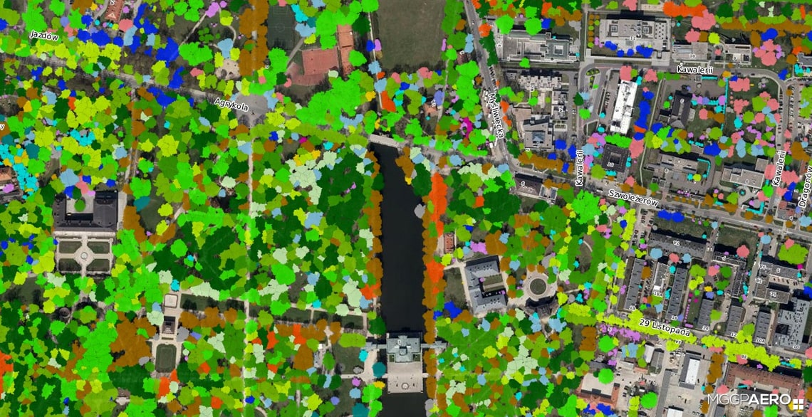 orthophoto vs true ortho